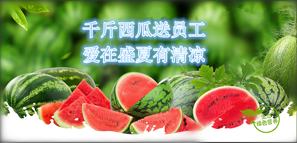 通達(dá)軟件公司： 千斤西瓜送員工，愛(ài)在盛夏有清涼